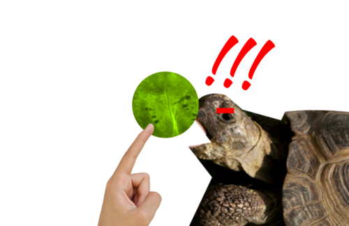 art9